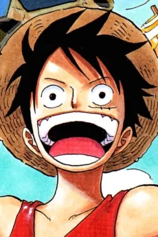 Monkey D. Luffy portrait