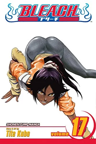 Bleach Vol. 17