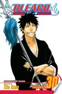 Bleach Vol. 30