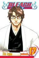 Bleach Vol. 12