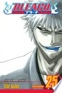 Bleach Vol. 25