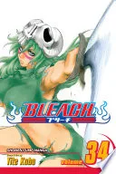 Bleach Vol. 34