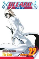 Bleach Vol. 22