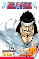 Bleach Vol. 28