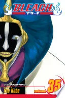 Bleach Vol. 35