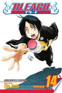 Bleach Vol. 14