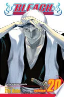 Bleach Vol. 20