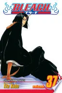 Bleach Vol. 37