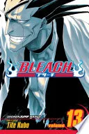 Bleach Vol. 13