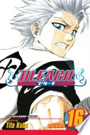 Bleach Vol. 16