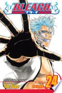 Bleach Vol. 24