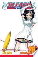 Bleach Vol. 29