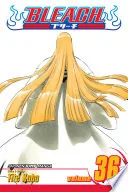 Bleach Vol. 36