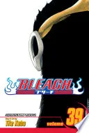Bleach Vol. 39