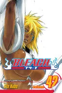 Bleach Vol. 42