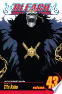 Bleach Vol. 43