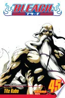 Bleach Vol. 45
