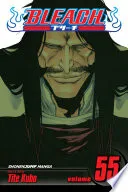Bleach Vol. 55