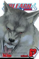 Bleach Vol. 62