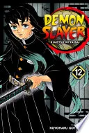 Demon Slayer: Kimetsu no Yaiba Vol. 12