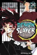 Demon Slayer: Kimetsu no Yaiba Vol. 20